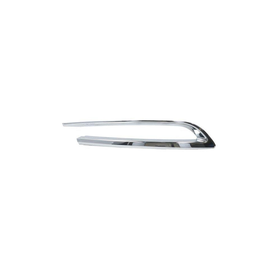 Blic 5513-00-0067973Pf Bumper Moulding for BMW 5 Series
