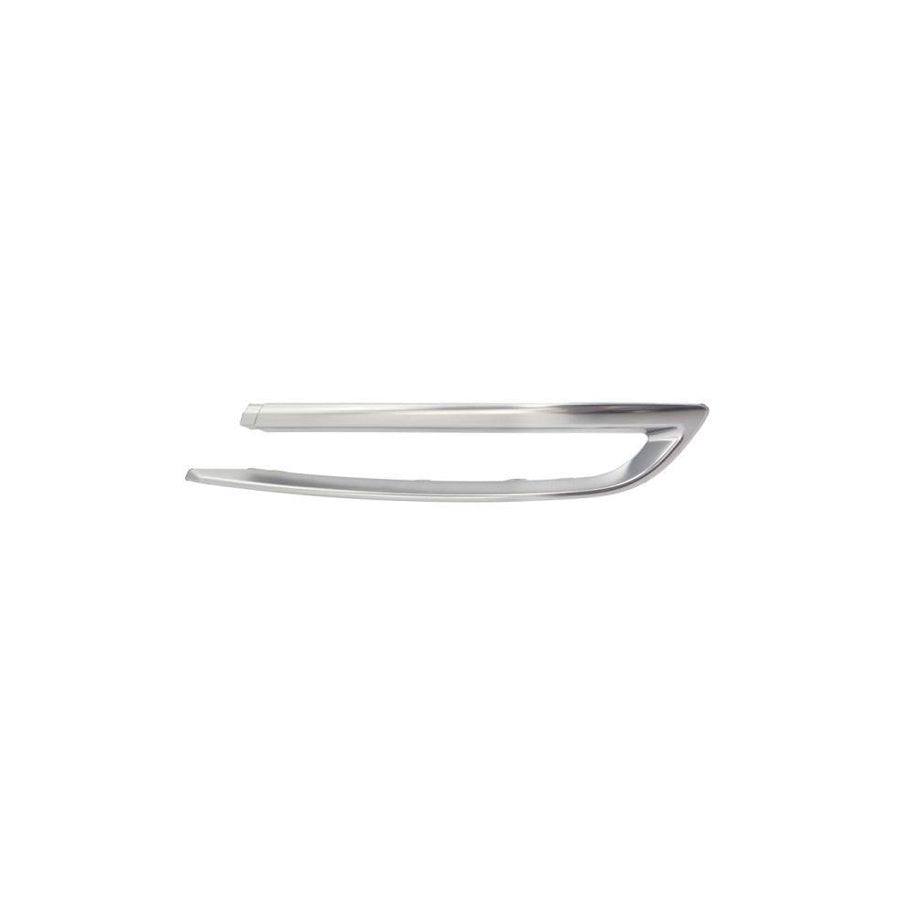 Blic 5513-00-0067972Pf Bumper Moulding for BMW 5 Series
