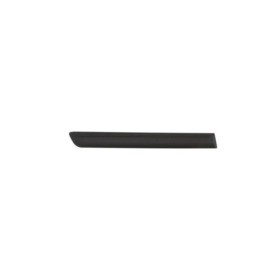Blic 5703-04-2024474P Trim / Protective Strip, Mudguard