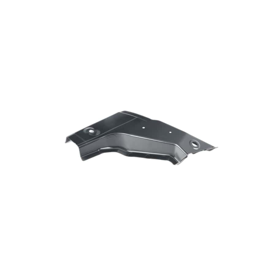 Genuine BMW 41217298001 F80 F30 C-Pillar Reinforcement, Left (Inc. 316d)