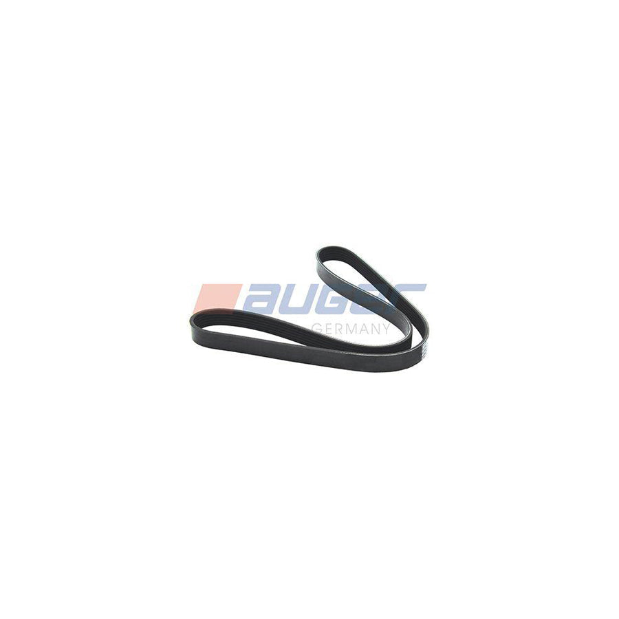 Auger 79897 V-Ribbed Belt