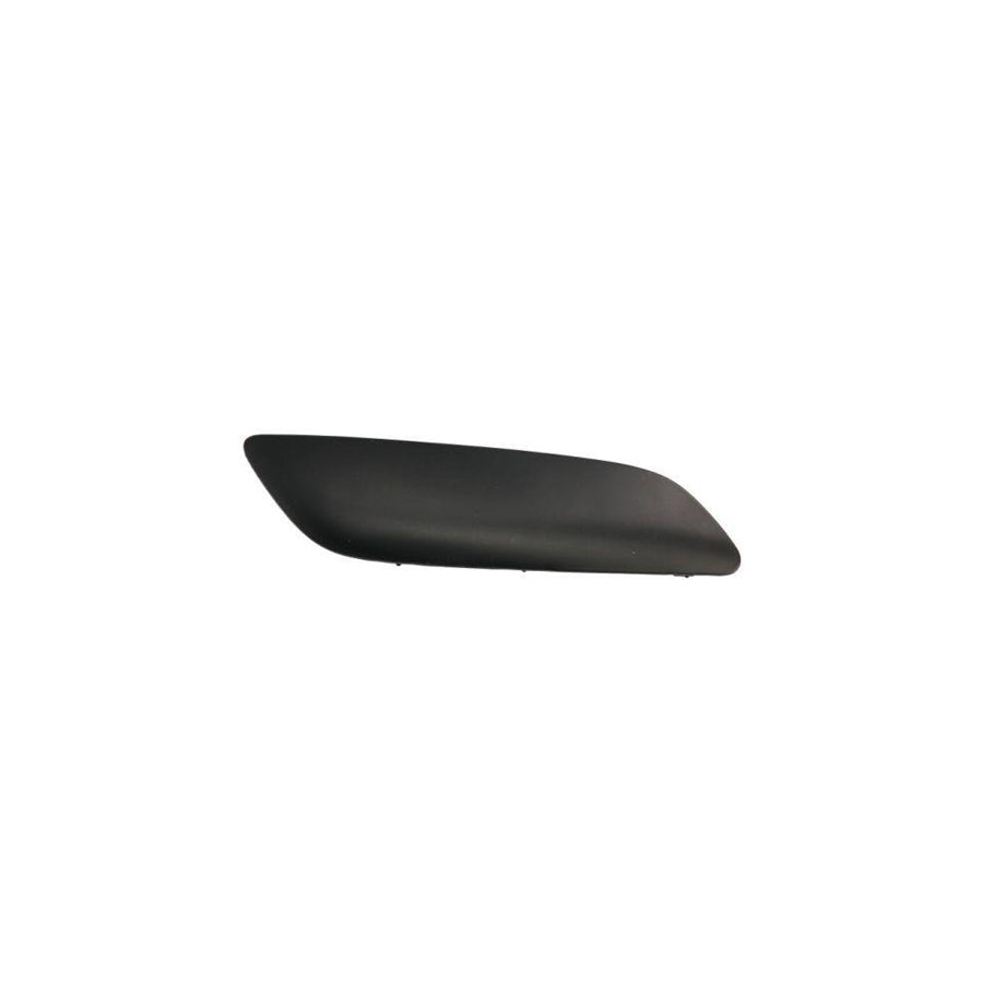 Blic 5703-05-5508926P Bumper Moulding for Peugeot 207
