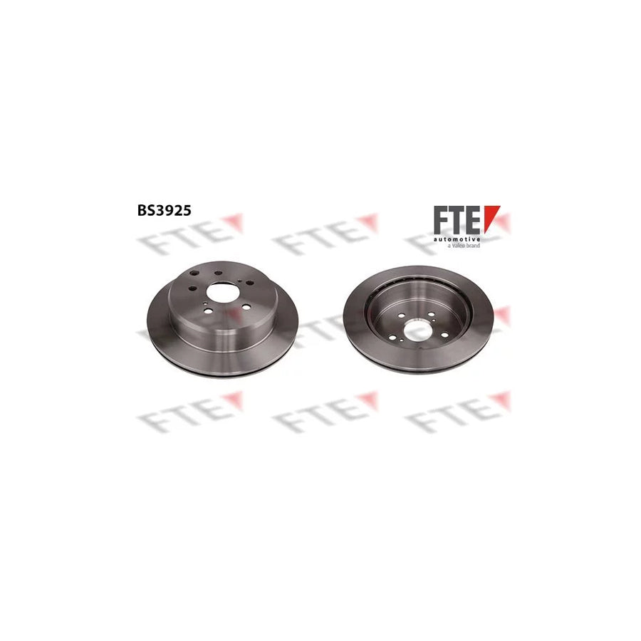 FTE Bs3925 Brake Disc