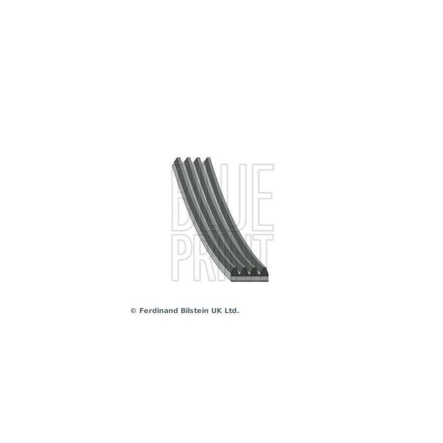 Blue Print Ad04R946 V-Ribbed Belt