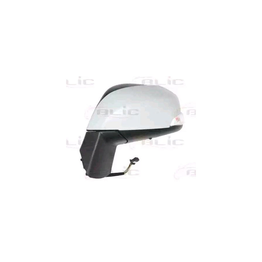 Blic 5402-09-2002157P Wing Mirror