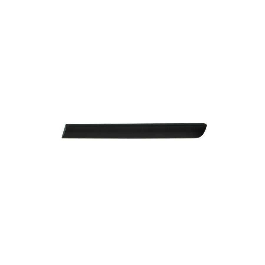 Blic 5703-04-2024473P Trim / Protective Strip, Mudguard