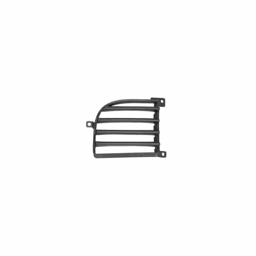 Blic 6502-07-3749916P Bumper Grill for Mitsubishi Outlander I Off-Road (Cu)