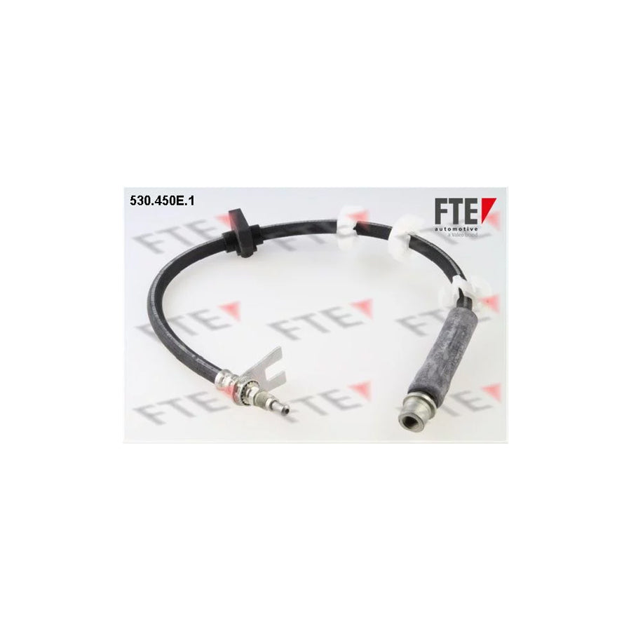 FTE 9240752 Brake Hose for Peugeot 406
