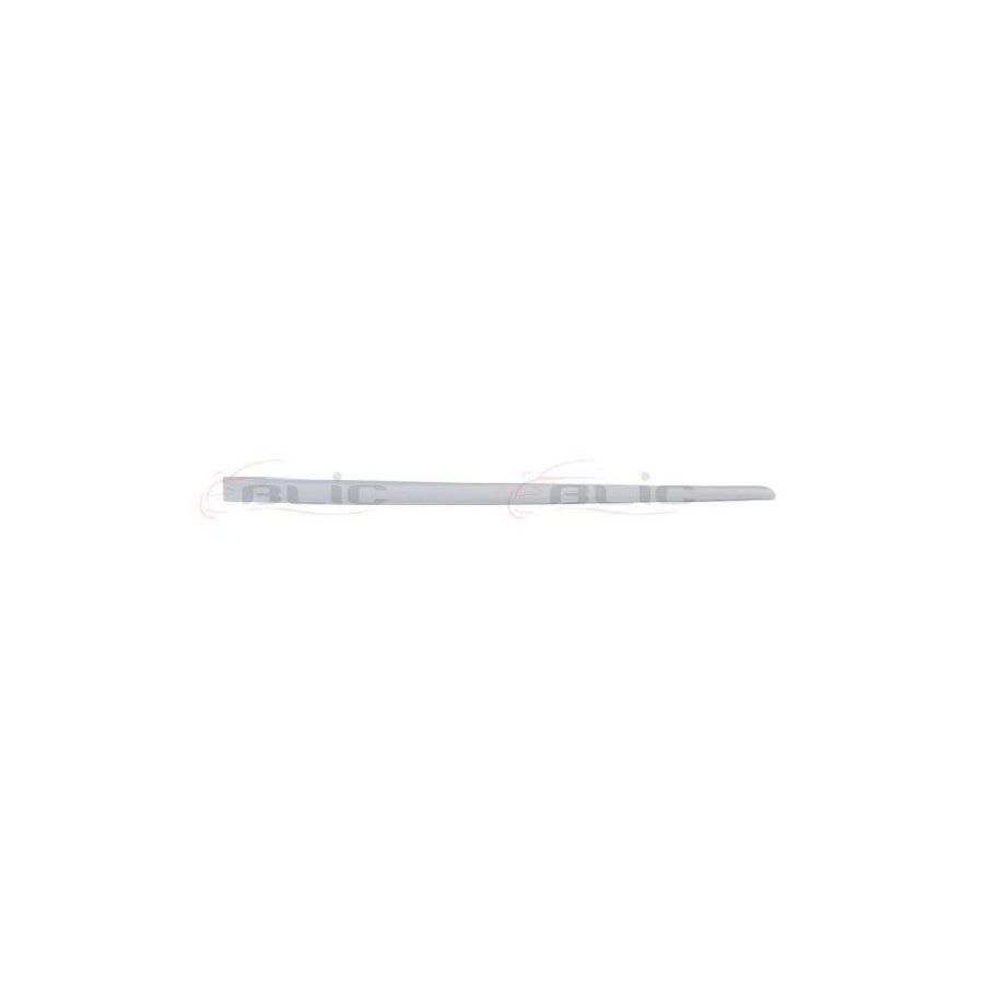 Blic 5703-04-2023578P Door Molding for Fiat Punto II Hatchback (188)