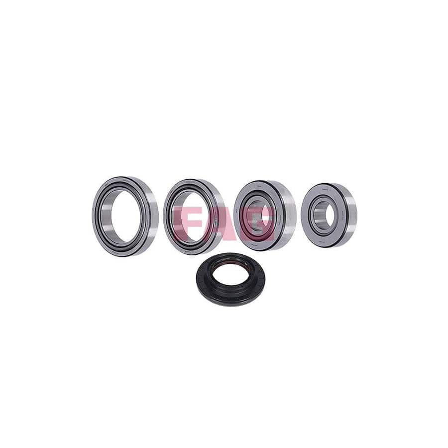 FAG 463 0123 10 Repair Kit, Differential