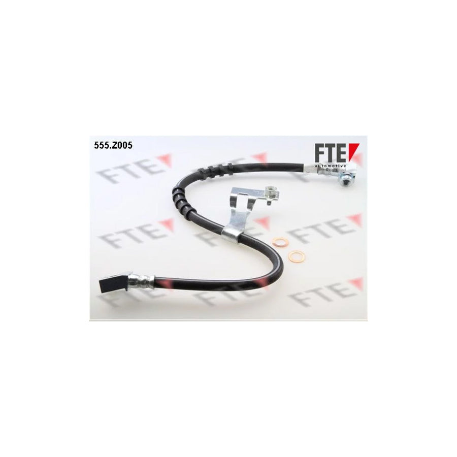 FTE 555.Z005 Brake Hose