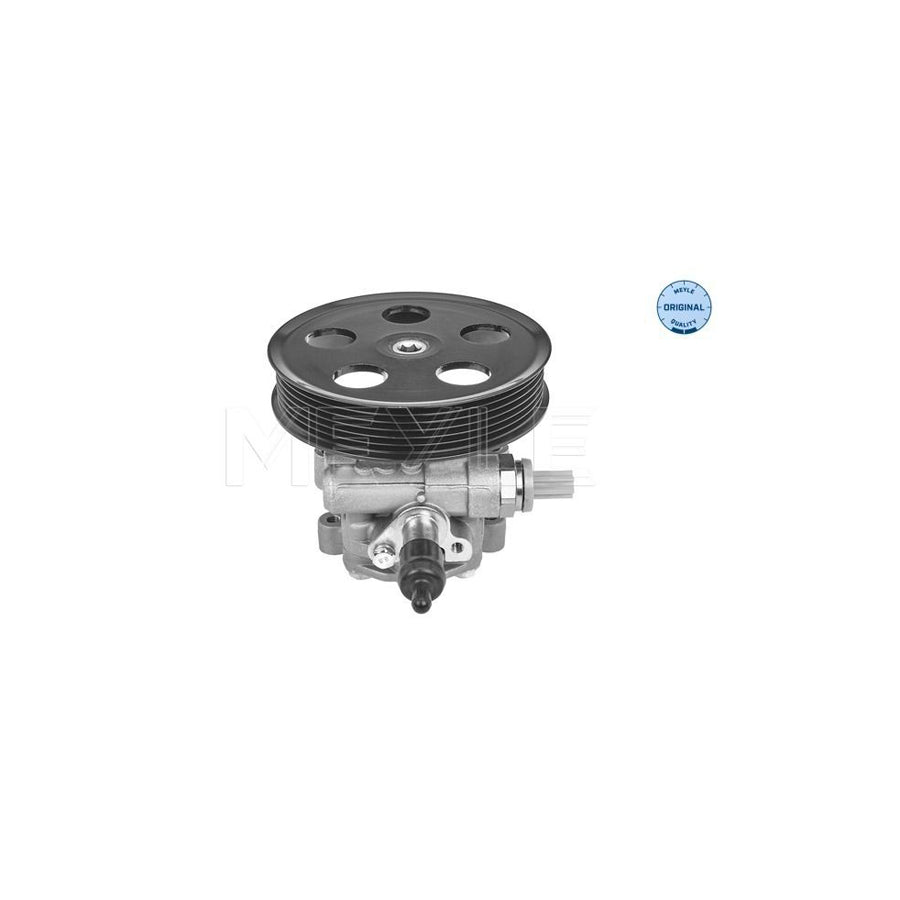 Meyle 114 631 0044 Power Steering Pump For Audi A4