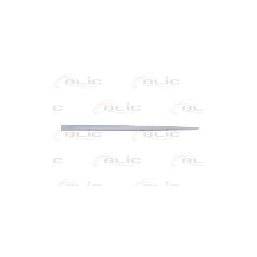 Blic 5703-04-2023577P Door Molding for Fiat Punto II Hatchback (188)