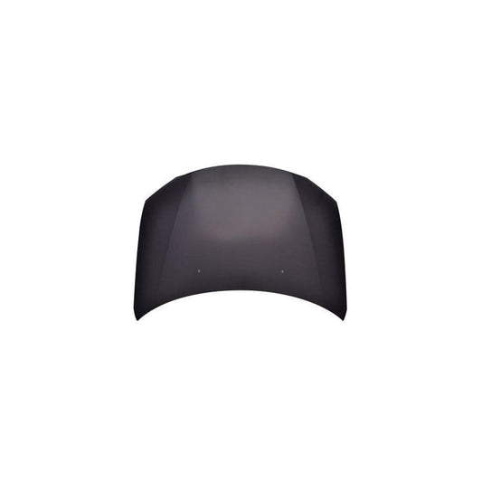 Abakus 03343105 Bonnet for Mitsubishi Outlander II Off-Road (Cw_W)