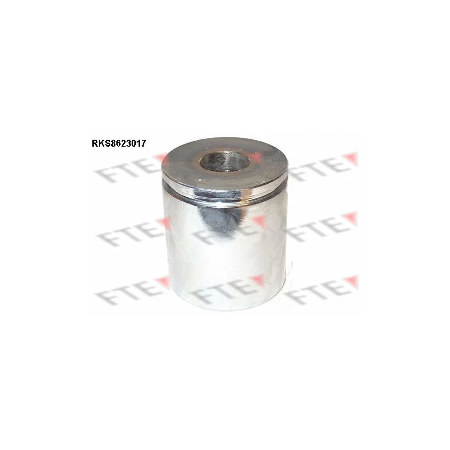 FTE Rks8623017 Piston, Brake Caliper