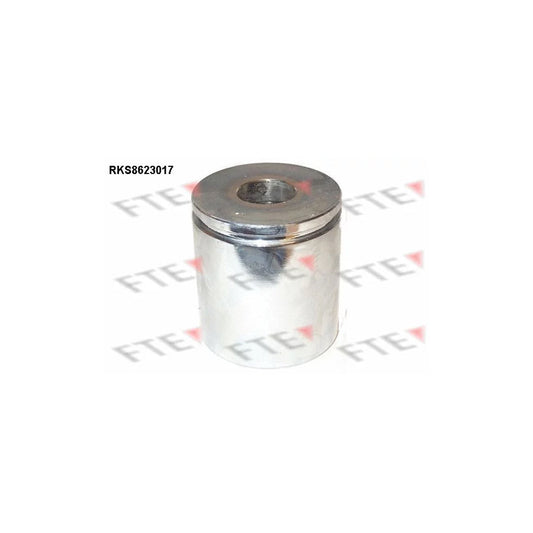 FTE Rks8623017 Piston, Brake Caliper