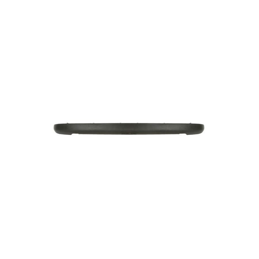 Blic 5703-05-5507970P Bumper Moulding for Peugeot 206