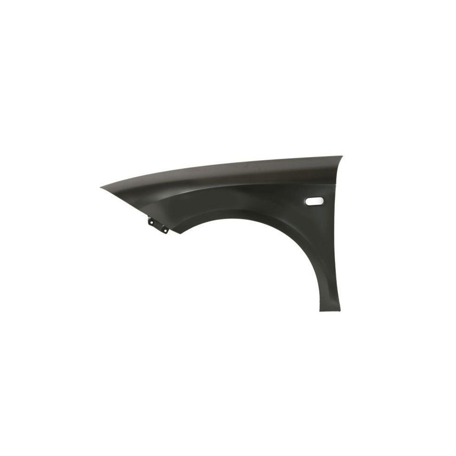Blic 6504-04-6613311P Wing Fender for Seat Leon II Hatchback (1P1)