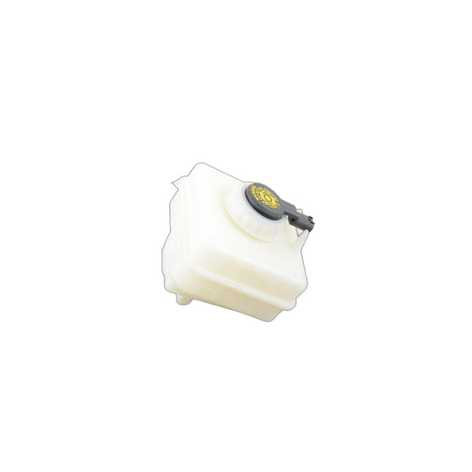 Genuine BMW 34312282958 E61 E60 E64 Expansion Tank (Inc. M5 & M6)