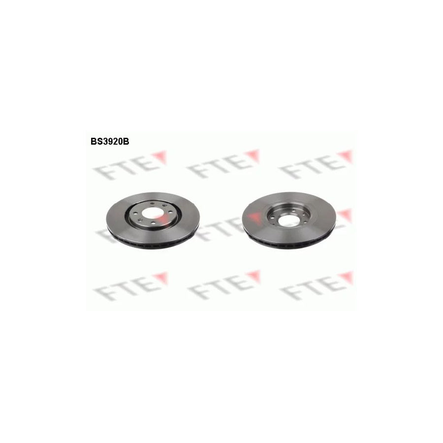 FTE Bs3920B Brake Disc
