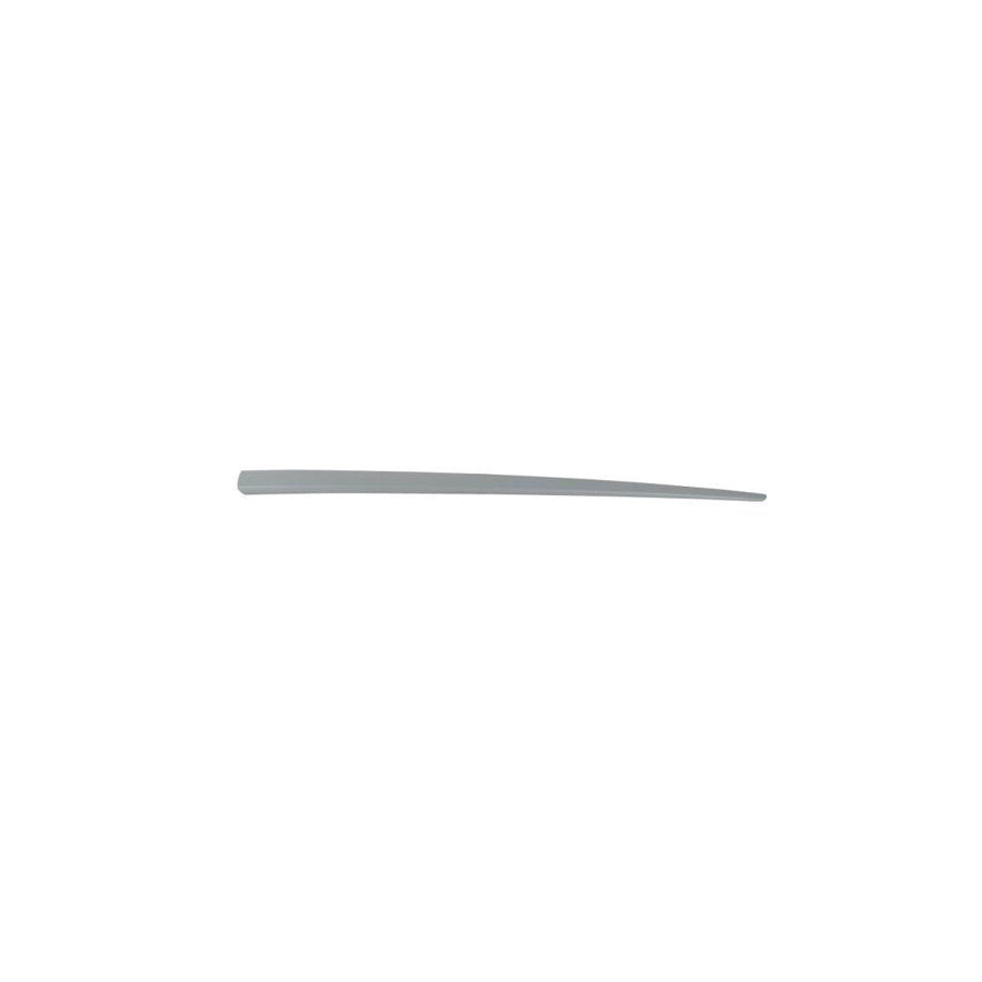 Blic 5703-04-2023576P Door Molding for Fiat Punto II Hatchback (188)