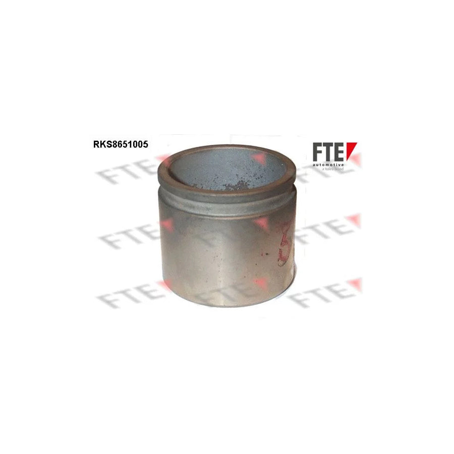 FTE 9313459 Piston, Brake Caliper