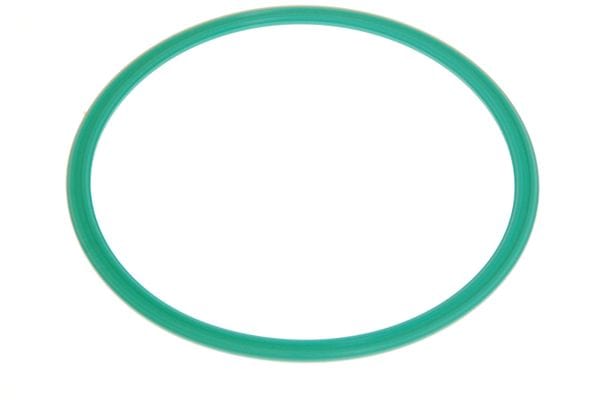Aston Martin 4G43-9073-AA Fuel Tank Cover Gasket | ML Performance UK Car Parts