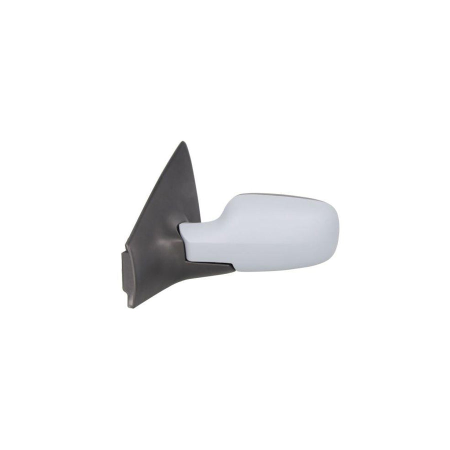 Blic 5402-09-2002187P Wing Mirror for Renault Megane