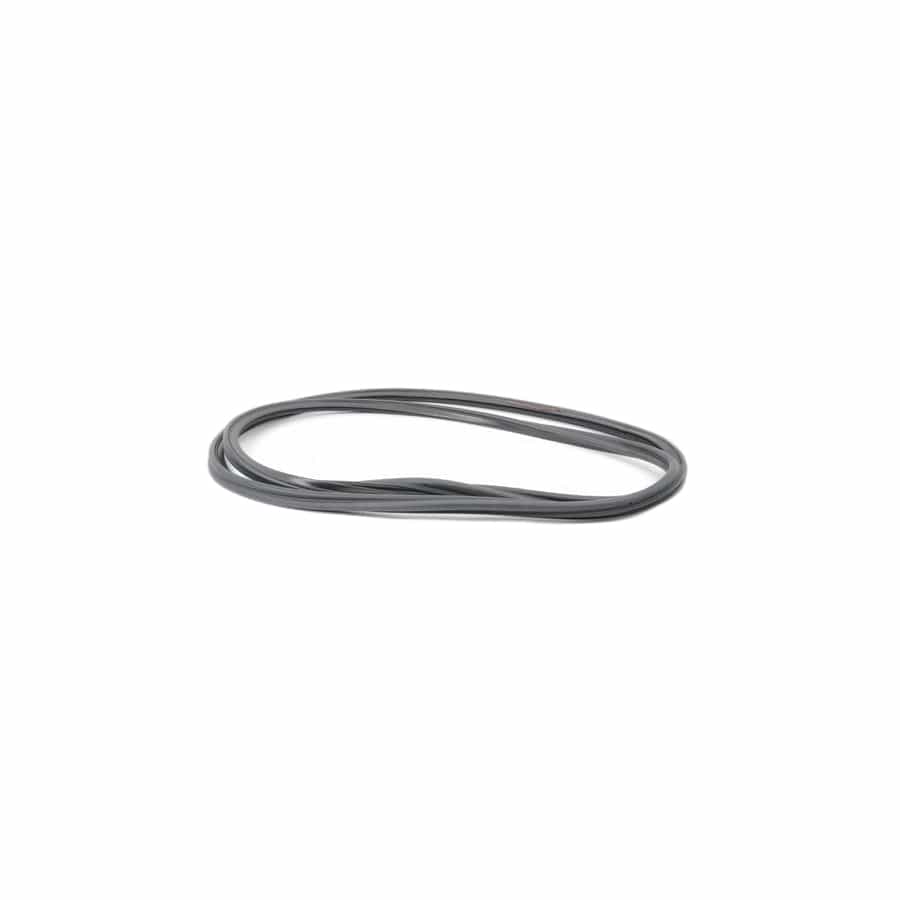 Genuine BMW 51767372189 F34 Trunk Lid Gasket (Inc. 328iX, 328i & 320d)