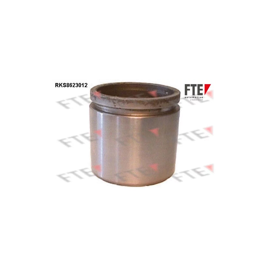 FTE Rks8623012 Piston, Brake Caliper