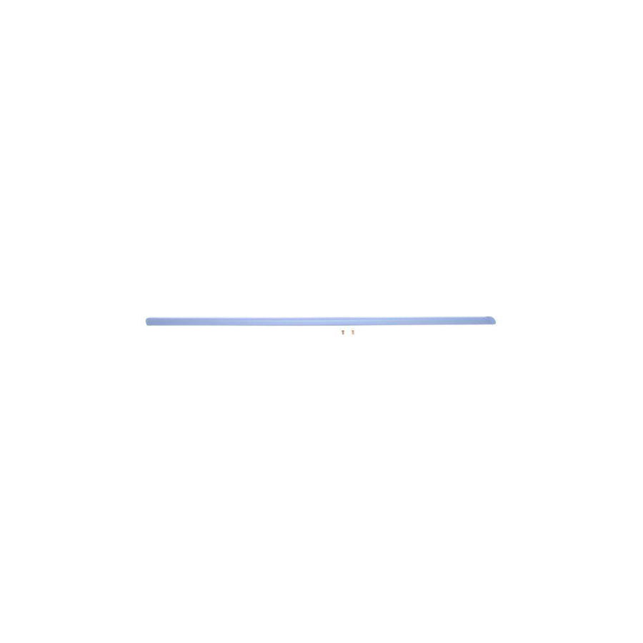 Blic 5703-04-2026575P Door Molding for Fiat Bravo I Hatchback (182)