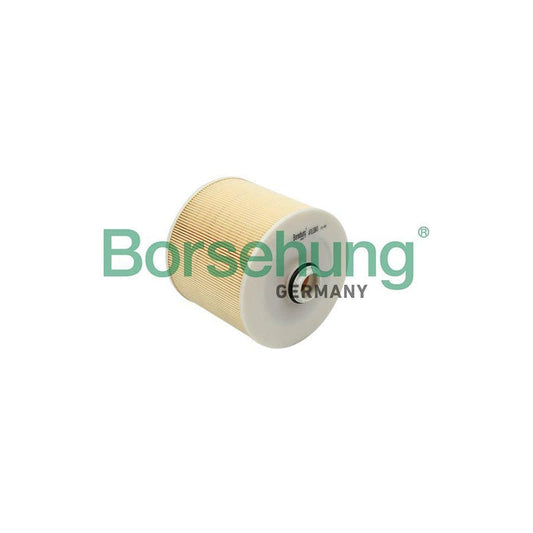 Borsehung B12807 Air Filter for Audi A6