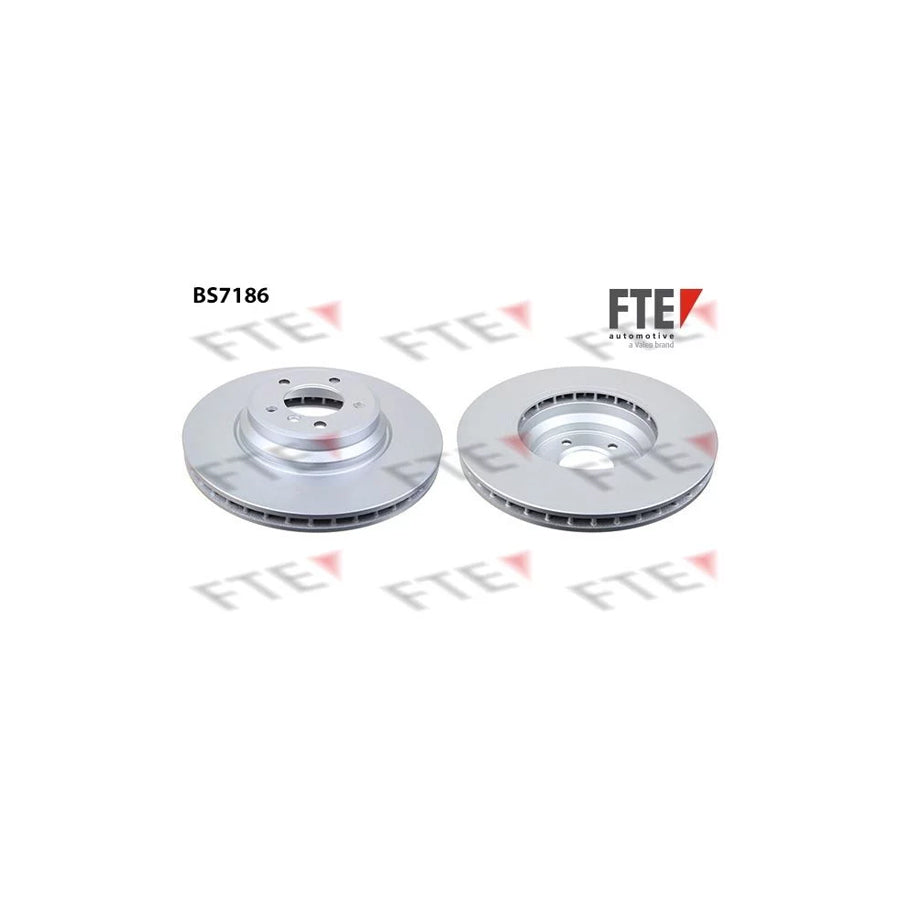 FTE Bs7186 Brake Disc