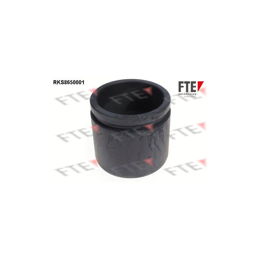 FTE 9313450 Piston, Brake Caliper