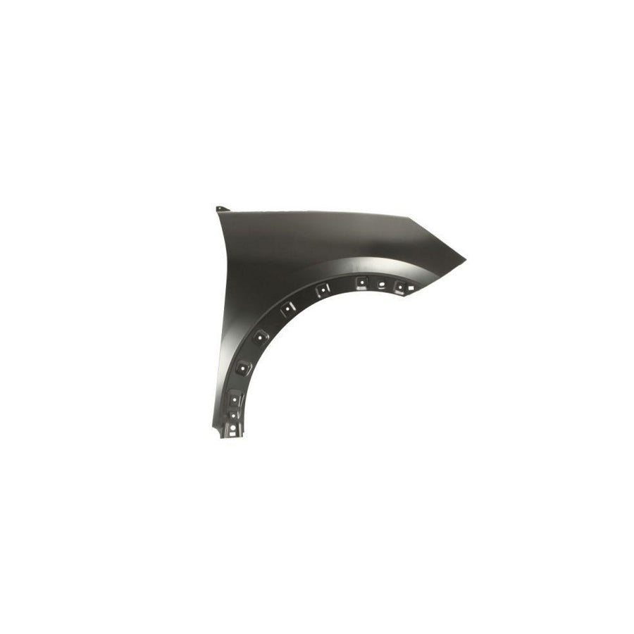 Blic 6504-04-2595312P Wing Fender