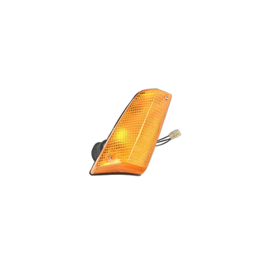 Genuine BMW 63131360088 E21 Flasher-Parking-Positioning Light Right (Inc. 320i)