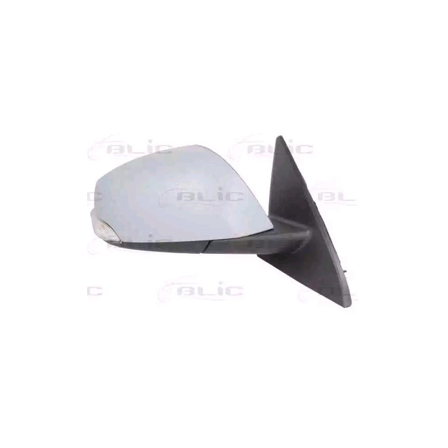 Blic 5402-09-2002180P Wing Mirror for Renault Latitude