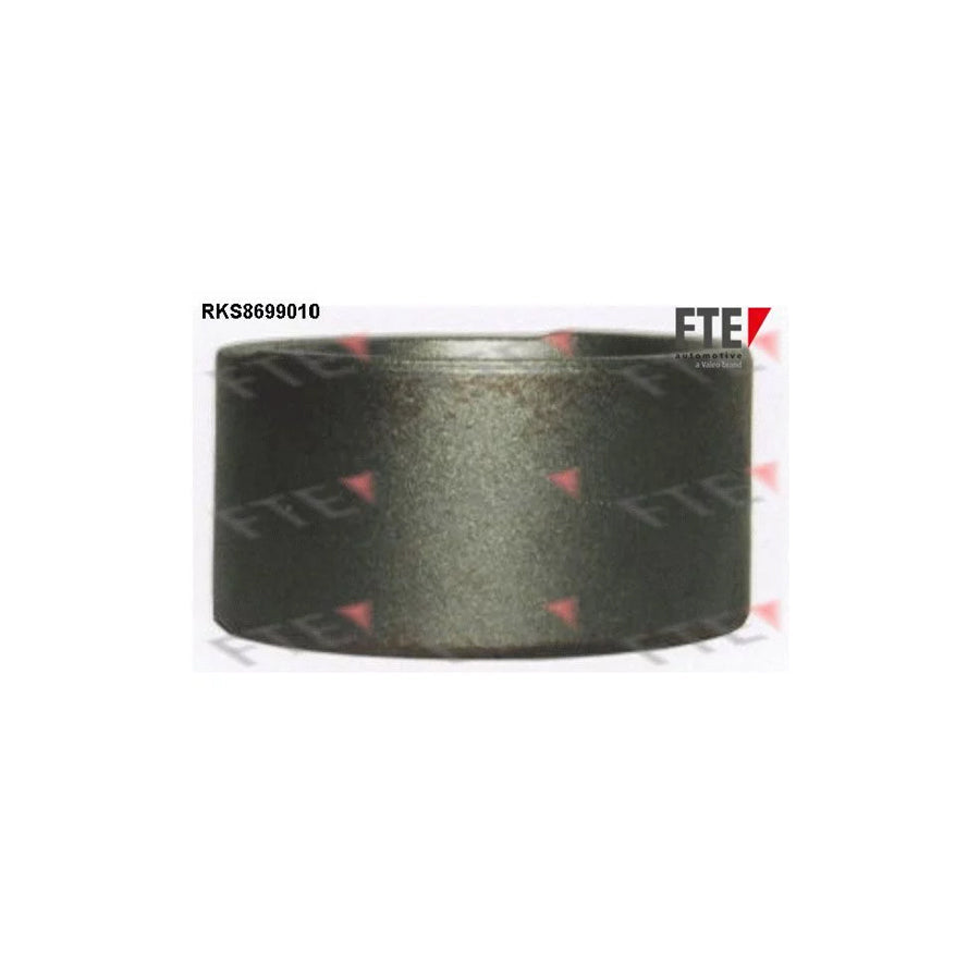 FTE 9313480 Piston, Brake Caliper