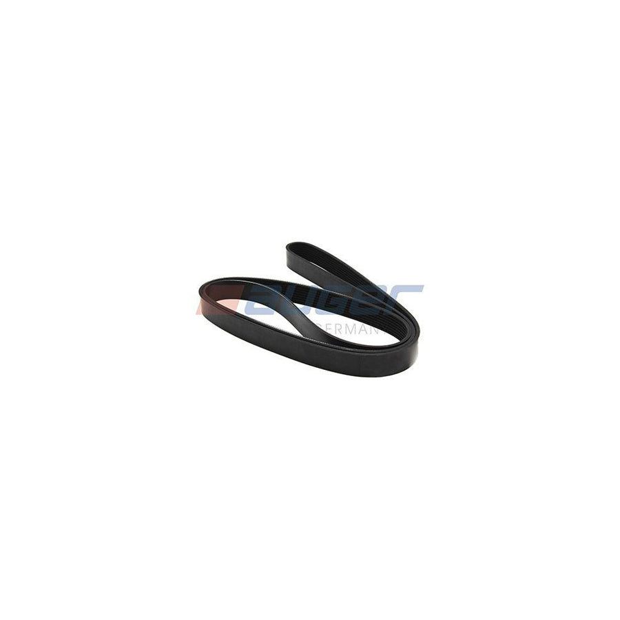 Auger 79941 V-Ribbed Belt