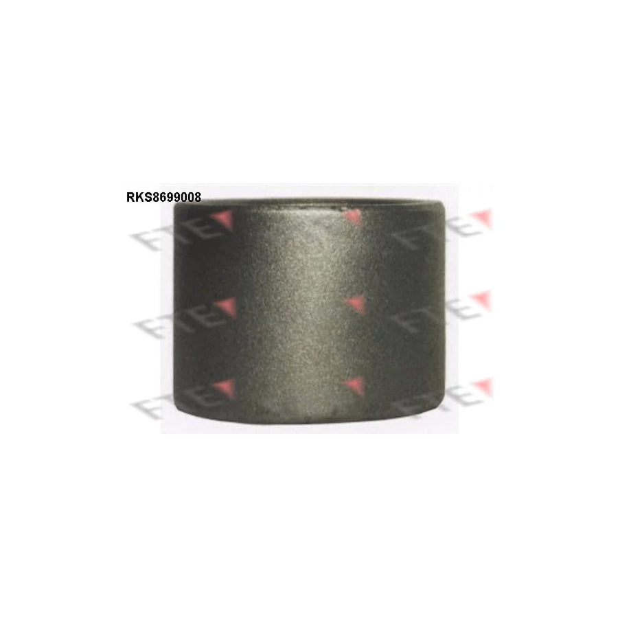 FTE 9313478 Piston, Brake Caliper