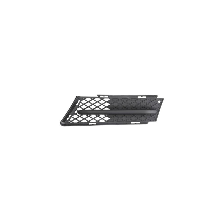 Blic 6504-03-9590581P Panelling, Mudguard