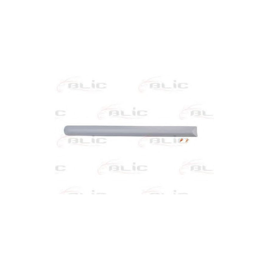 Blic 5703-04-2026478P Trim / Protective Strip, Mudguard for Fiat Bravo I Hatchback (182)