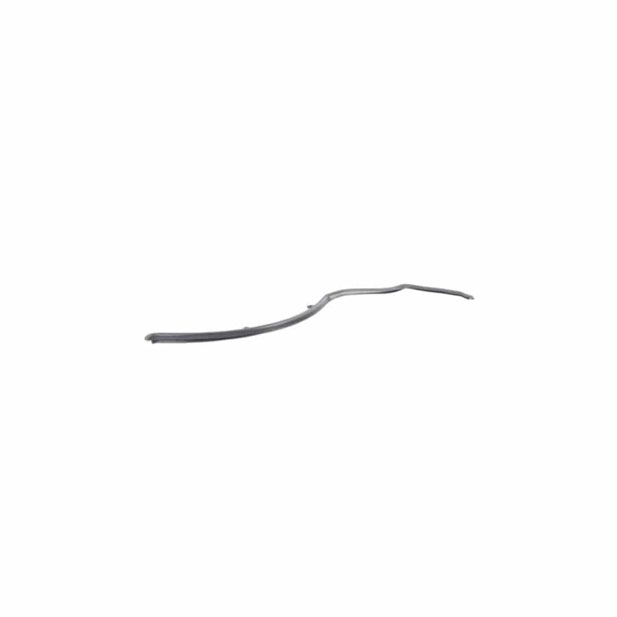 Genuine BMW 51767324750 F16 Seal, C-Pillar, Right (Inc. X6)