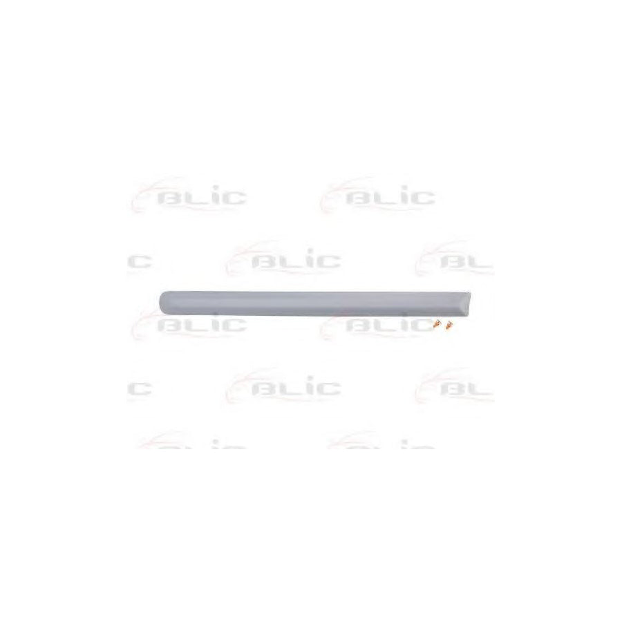 Blic 5703-04-2026477P Trim / Protective Strip, Mudguard for Fiat Bravo I Hatchback (182)