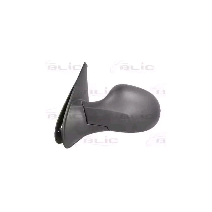 Blic 5402-09-2002211P Wing Mirror for Renault Symbol / Thalia II