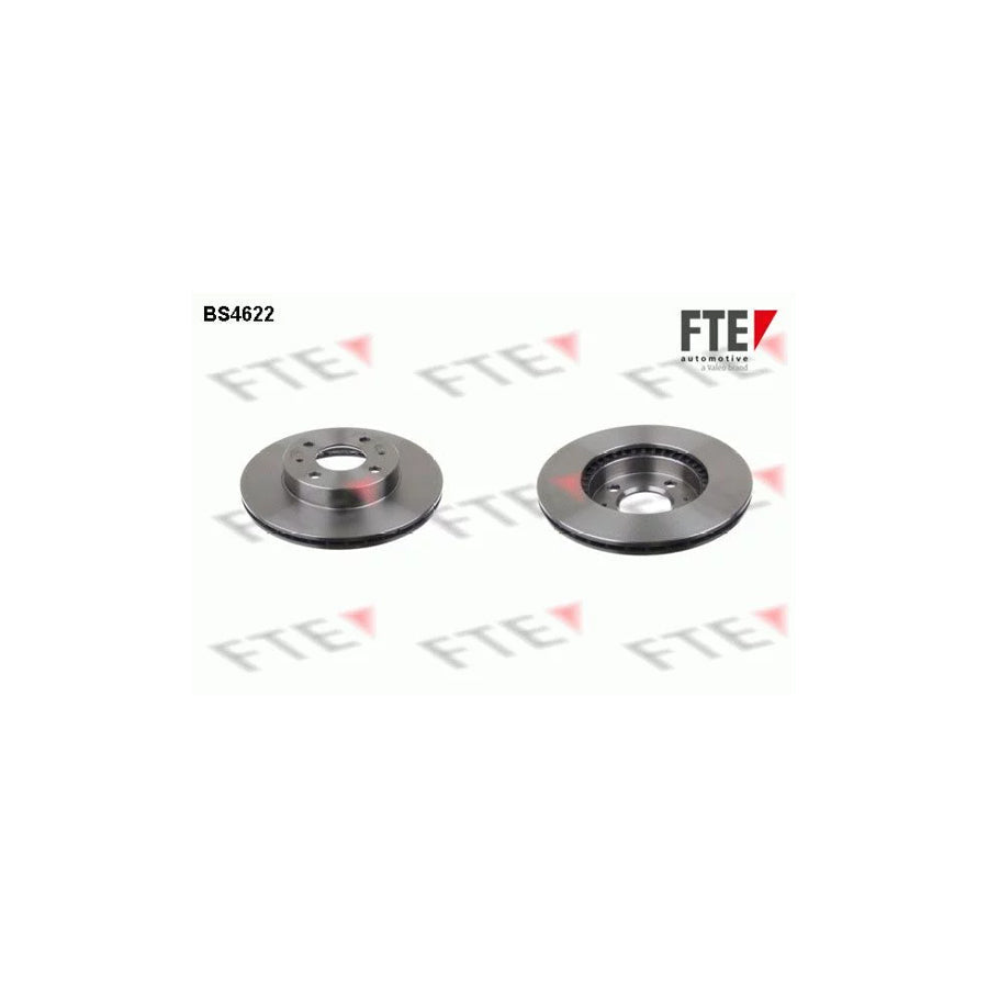 FTE 9072318 Brake Disc for Nissan Almera