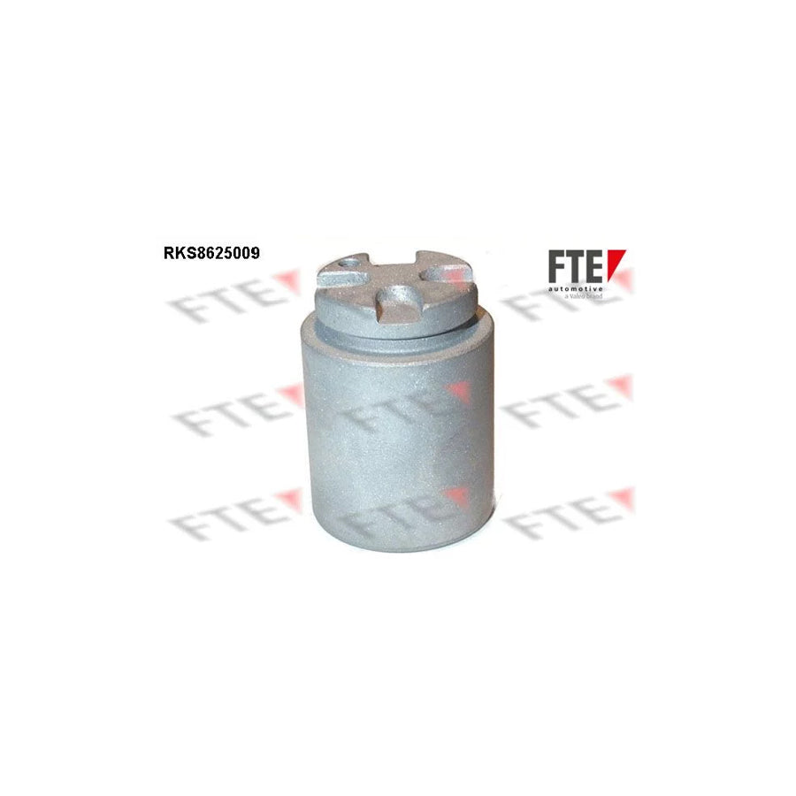 FTE Rks8625009 Piston, Brake Caliper