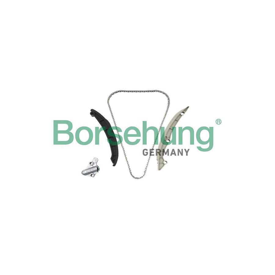 Borsehung B19257 Timing Chain Kit