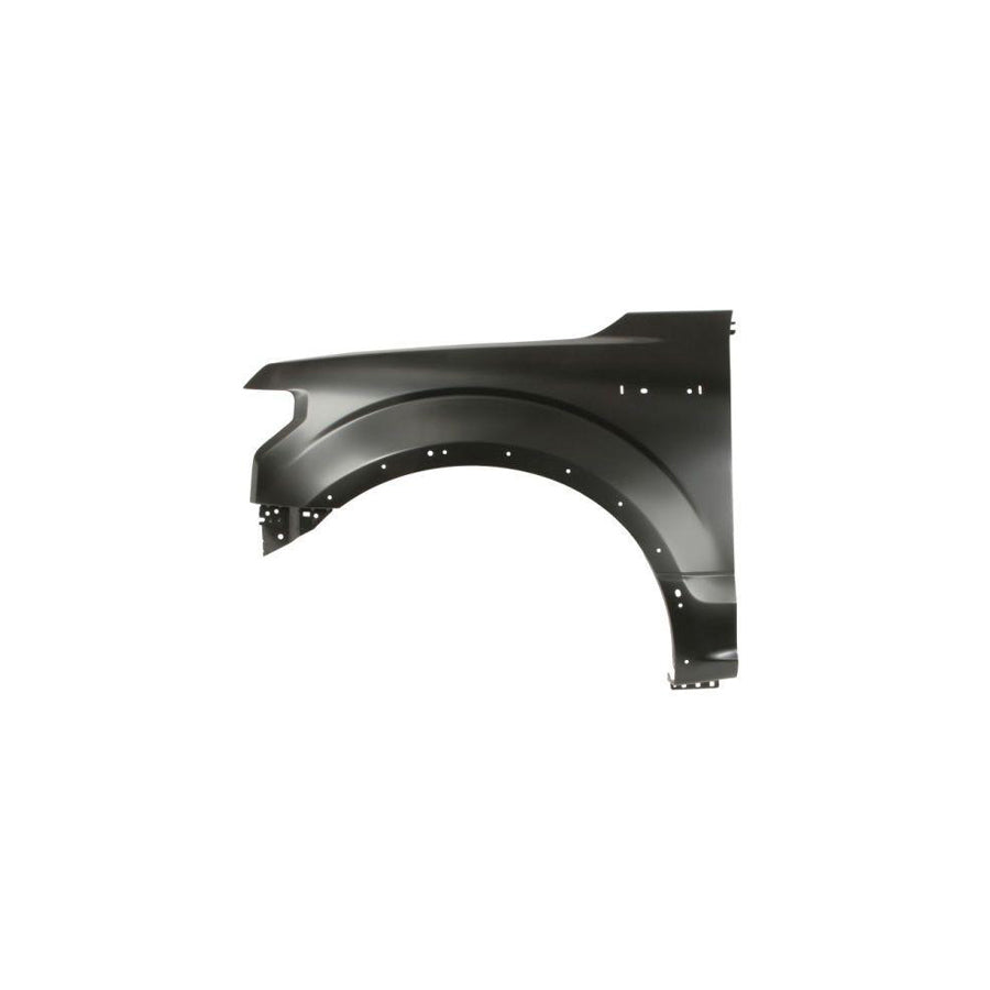 Blic 6504-04-2593313Ap Wing Fender for Ford USA F-150 Mk13 (P552) Standard Cab Pickup