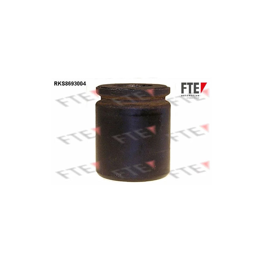 FTE 9313471 Piston, Brake Caliper for Chrysler Voyager